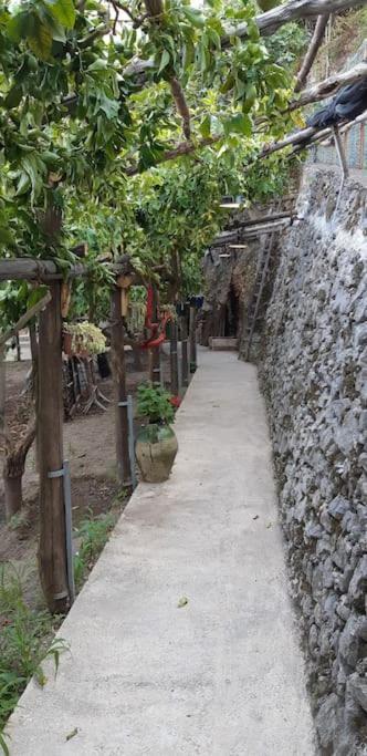 #La Limonaia Della Torretta Villa Minori Ngoại thất bức ảnh