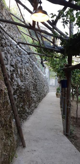 #La Limonaia Della Torretta Villa Minori Ngoại thất bức ảnh