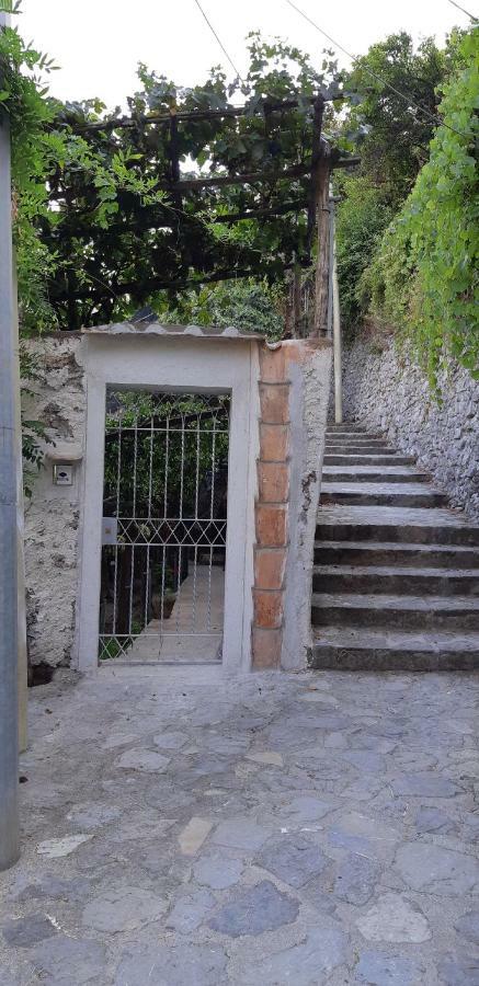 #La Limonaia Della Torretta Villa Minori Ngoại thất bức ảnh