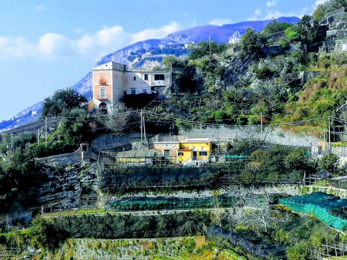 #La Limonaia Della Torretta Villa Minori Ngoại thất bức ảnh