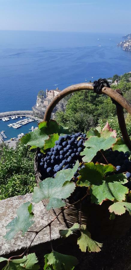 #La Limonaia Della Torretta Villa Minori Ngoại thất bức ảnh